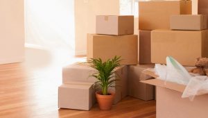 Packers and Movers Sector 97 Gurgaon