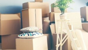 Packers and Movers Sector 8 Gurgaon