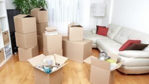 Packers and Movers Sector 41 Gurgaon