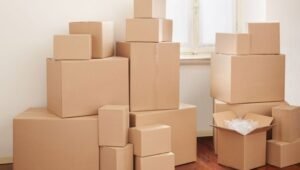 Packers and Movers Sector 62 Gurgaon